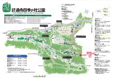 野原の丘.jpg