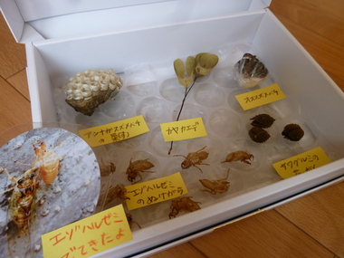 P1120943.JPG